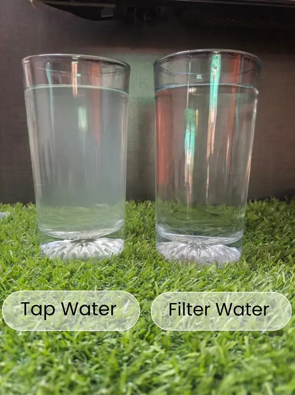 Two glass containers showing tap water and pure filtered water used for watering dracaena plants safely