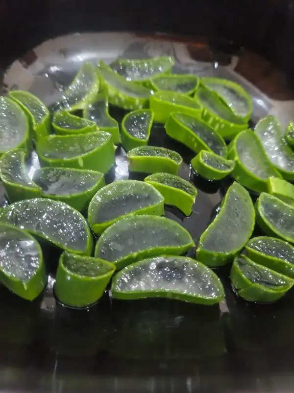 fresh green aloe leaf cut open to scoop organic gel for skincare routine