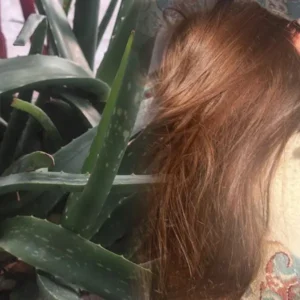 how to use aloe vera on hair