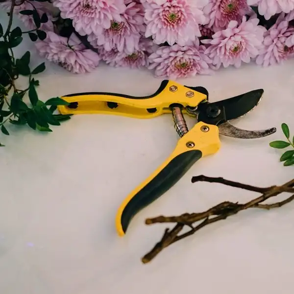 a yellow pruning shears which is a tool used to trim croton plants and other indoor outdoor plants in gardens