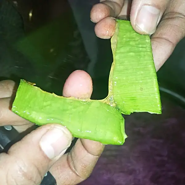 aloe vera gel