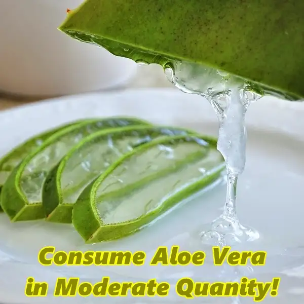 benefits of aloe vera