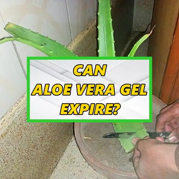 can aloe vera gel expire