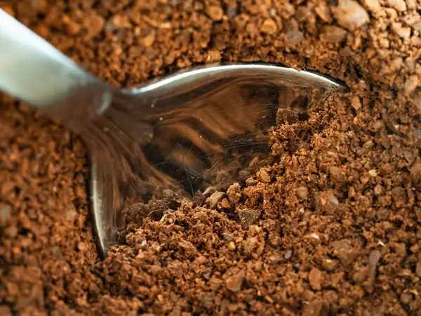 coffee grounds in plants and gardening