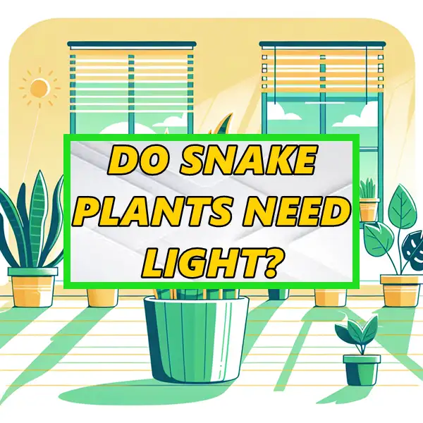 do snake plants need light