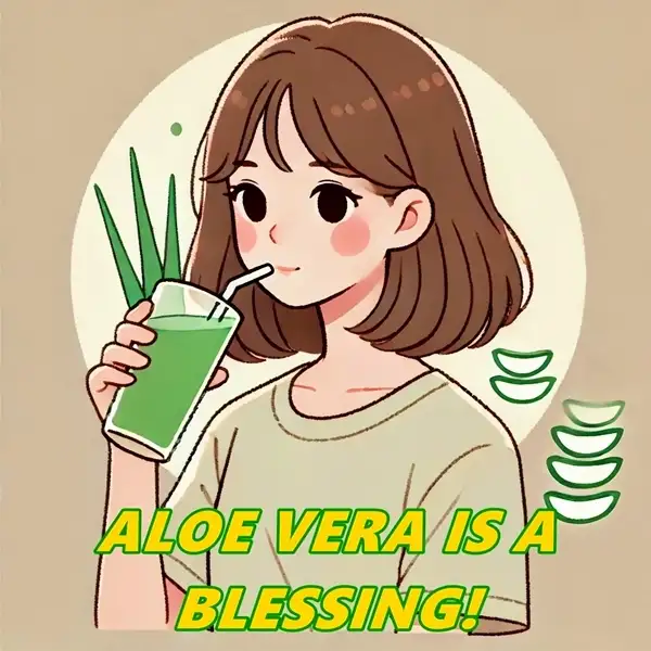 drinking aloe vera juice daily