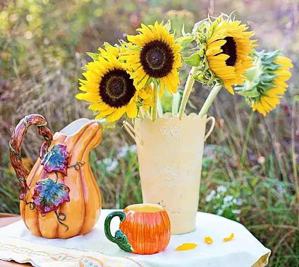 how to care for a sunflower in vase