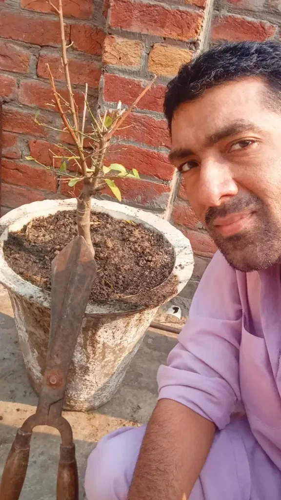 indoor plant, pruning shears and gardener hammad at plants nexus