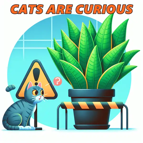 is snake plant bad for cats