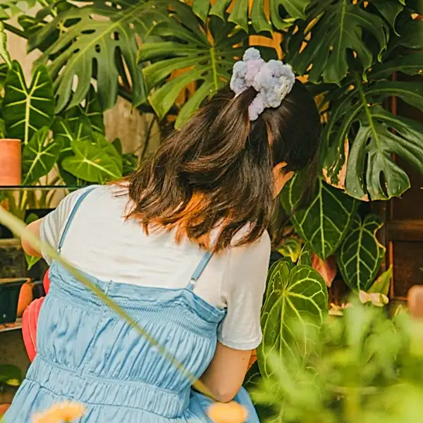 watering philodendron care guide