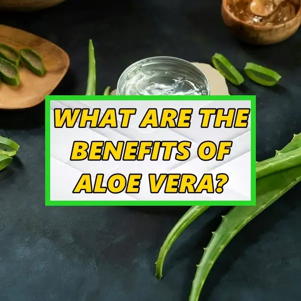 what are the benefits of aloe vera